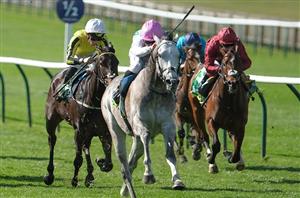 2025 2000 Guineas Tips - Amo's outsider worth chancing at huge price