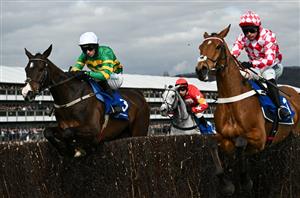 Bet365 Super Boost - Get EVENS on Majborough to win at the Punchestown Festival
