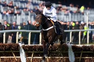 Bet365 Super Boost - Get 6/4 on Constitution Hill to win the Punchestown Champion Hurdle