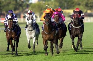 Australian Horse Racing