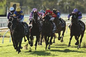 Hawkesbury Racing