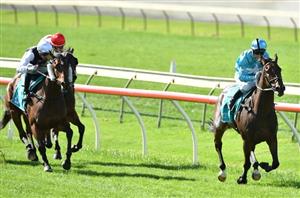 Kilmore Tips for 11.02.2025