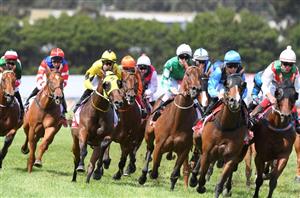 Kyneton Tips for 08.05.2025