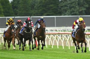 Ballarat Tips for 27.04.2025
