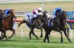 Moe Racing Tips for May 13- Castlefield to get the day off to a flyer at Moe