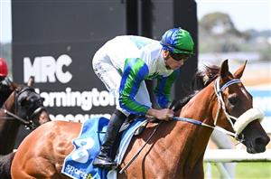 Mornington Tips for 19.04.2025