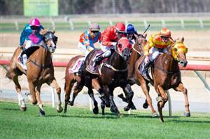 Pinjarra Racing Tips for May 14 - Made In Mexico looks set for a first-up win today