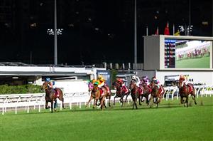 Happy Valley Tips on May 14th - Value in the penultimate