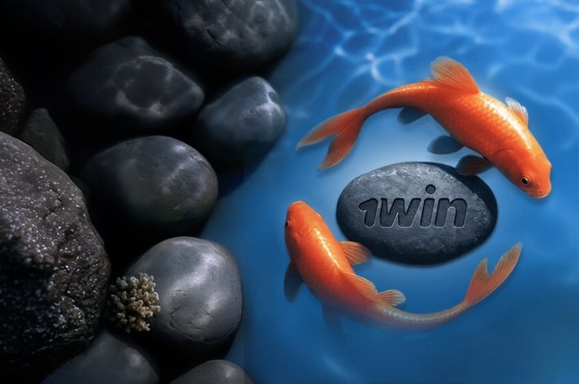 1Win Boat Bonanza Rider