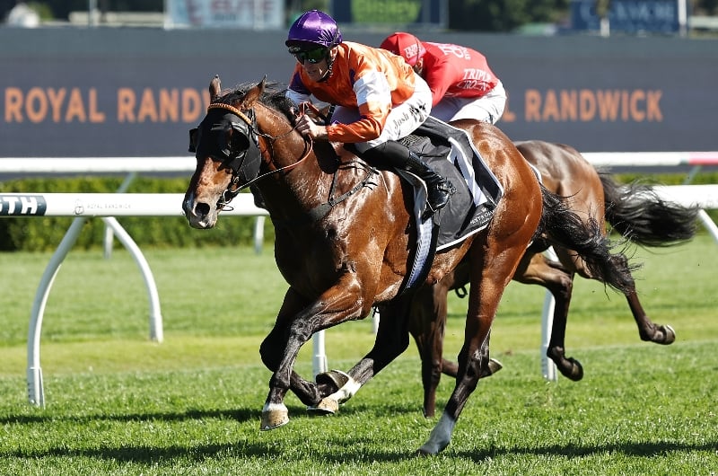 el castello spring champion stakes el castello spring champion stakes