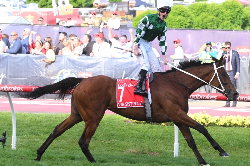 cox plate Via Sistina cox plate Via Sistina