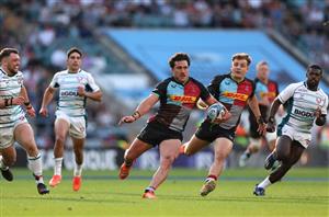 Harlequins