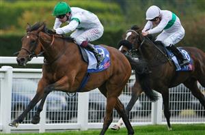 2025 Lockinge Stakes Tips - David's filly can upstage the colts at Newbury