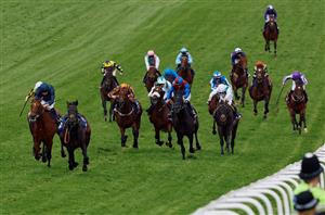 2025 Epsom Derby Odds - The Lion In Winter remains the Derby favourite