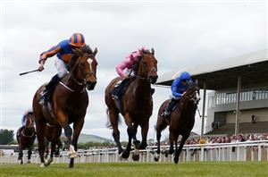 2025 Irish 2000 Guineas Tips - O'Brien's outsider worth a look in Curragh Classic
