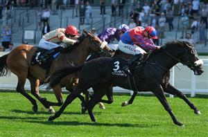 "It’s always good to have a flagbearer" - Big Mojo heading to Royal Ascot after Haydock