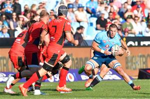 Bulls rugby
