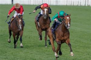 2025 Coronation Cup Odds - Calandagan dominates Epsom market