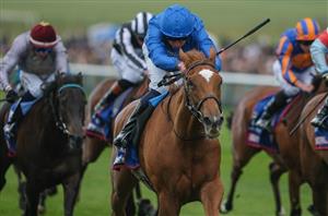 Desert Flower Epsom Oaks Profile & Betting Odds