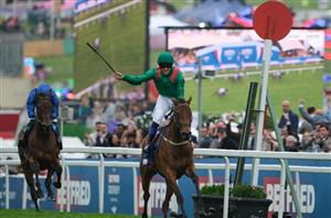 2025 Epsom Oaks Confirmed Runners - Favourite Desert Flower drawn in stall one
