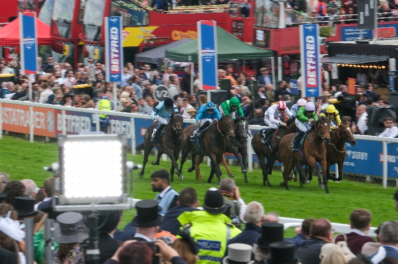 breege epsom breege epsom