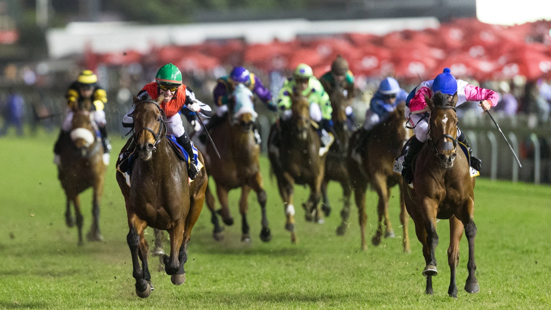 durban july 2025 main race favourites