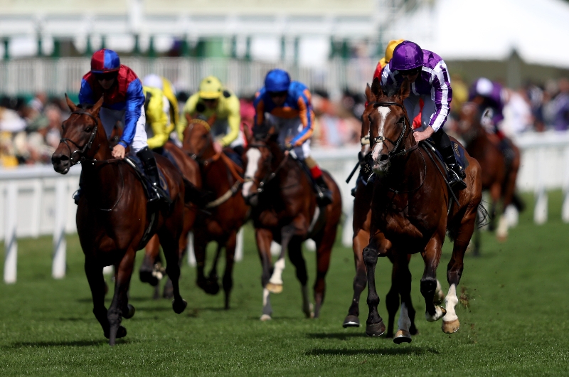 illinois ascot illinois ascot