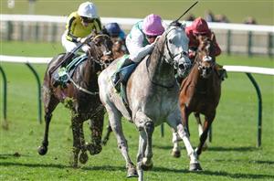 2025 St James's Palace Stakes Tips - Who will triumph as three Classic winners clash?