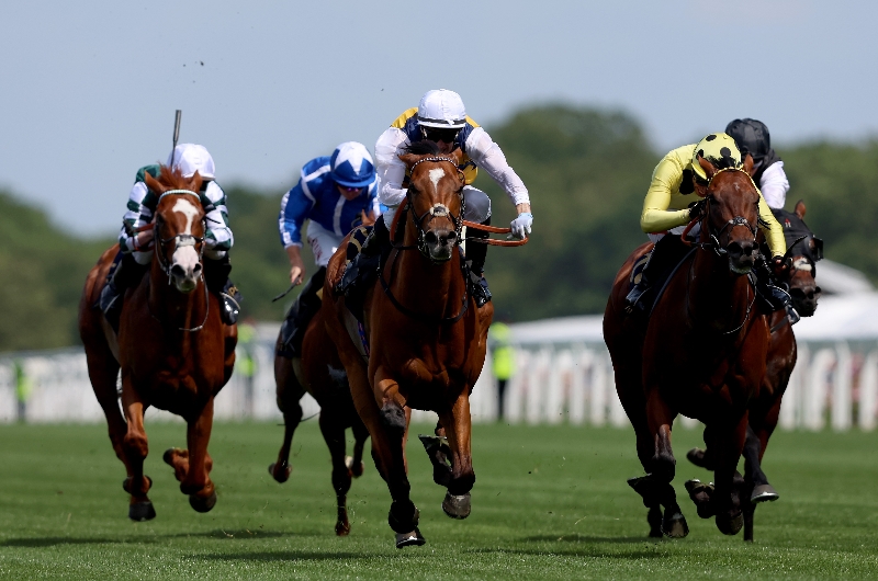 ascot