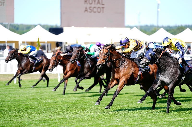 ascot
