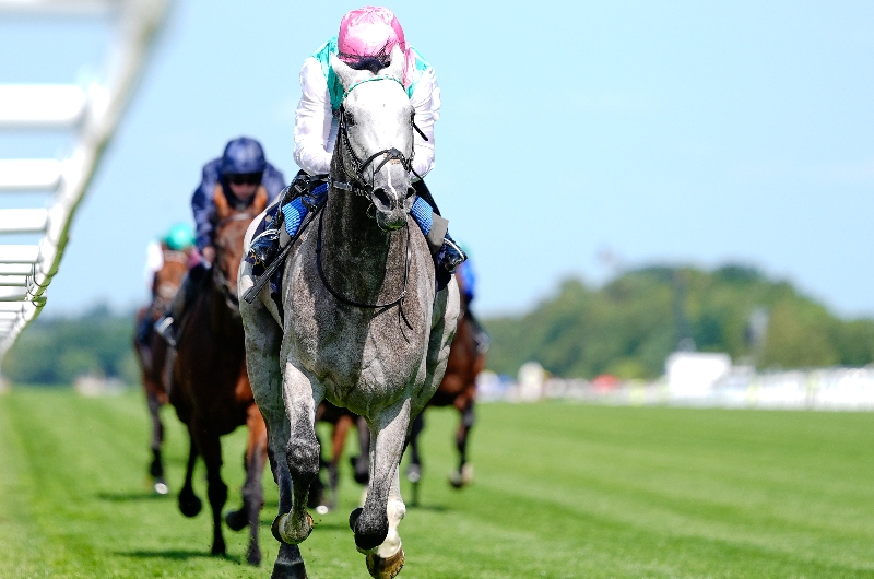 ascot