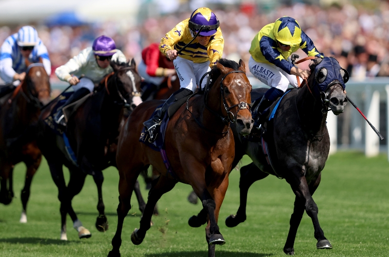 ascot