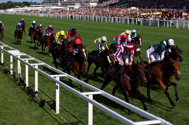ascot