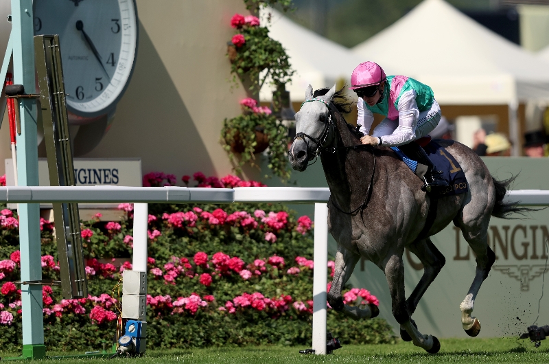 ascot