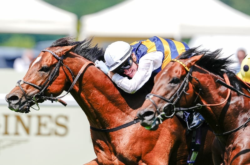 ascot