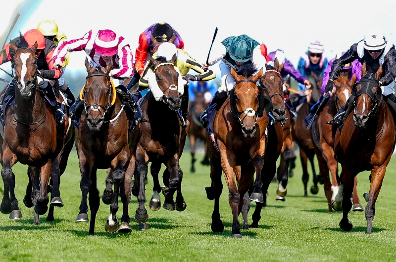 ascot