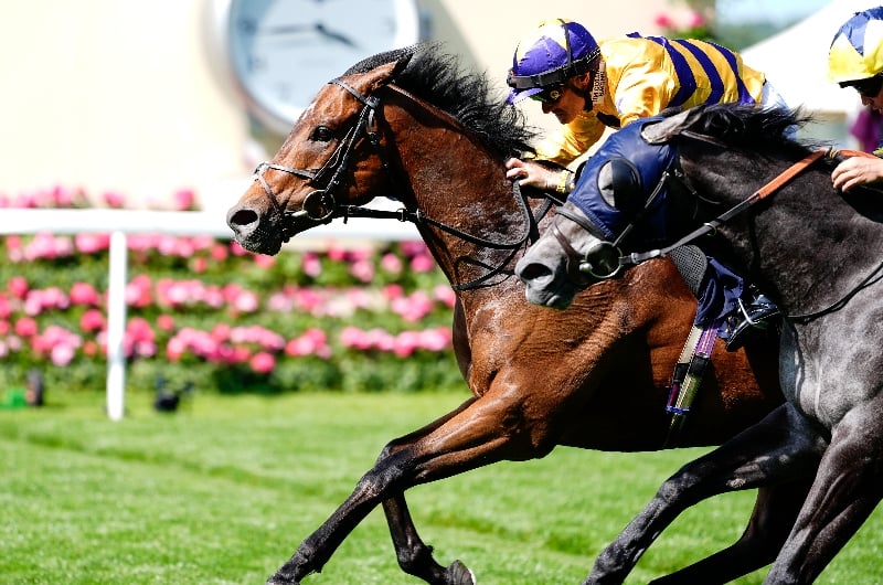 ascot