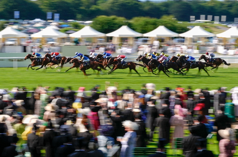 ascot