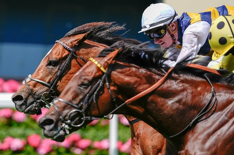 ascot