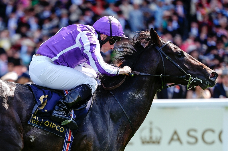 ascot