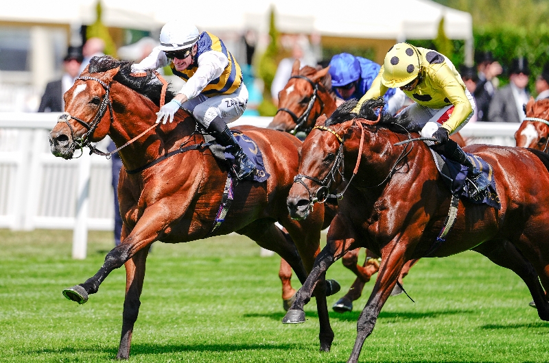 ascot