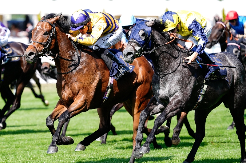 ascot