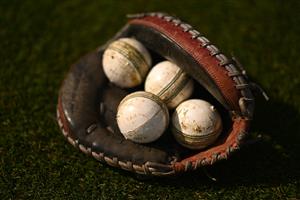 Tamil Nadu Premier League (Getty Images)