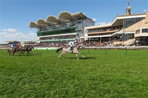 Bet365 Super Boost - Get 6/4 on Field Of Gold to win the St James's Palace Stakes