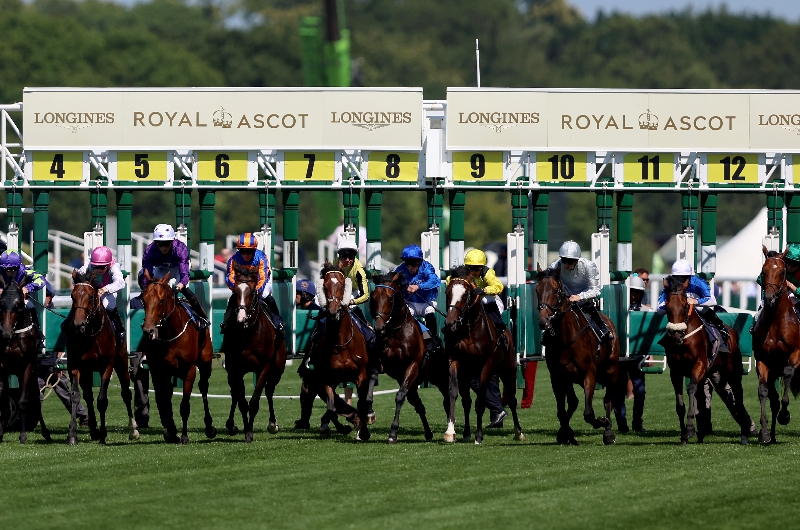 ascot