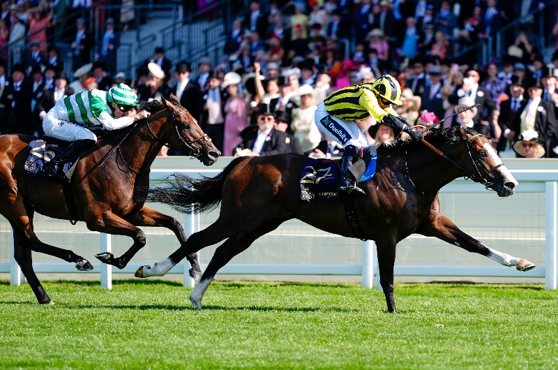 ascot