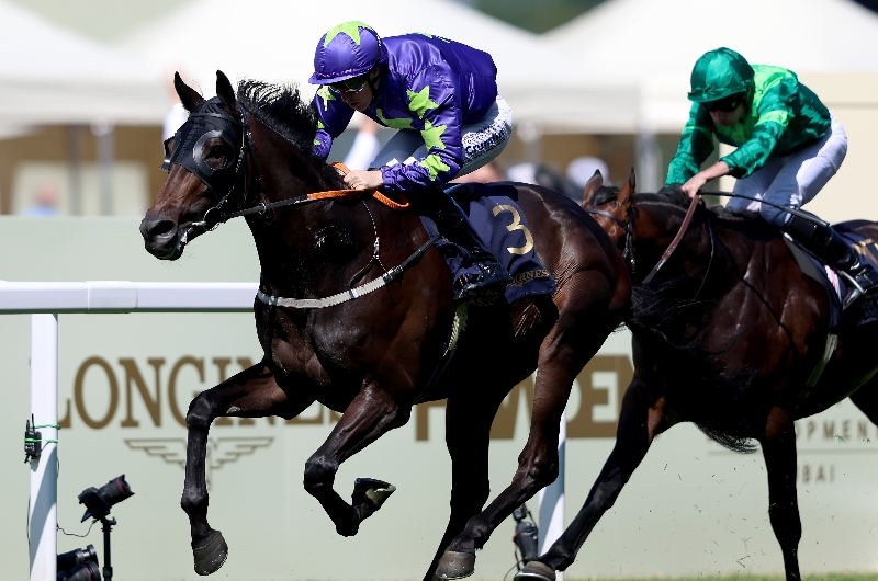 ascot