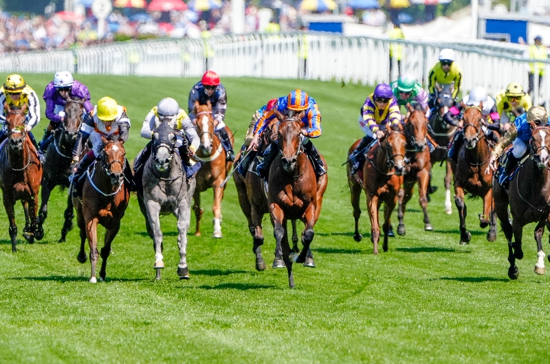 ascot