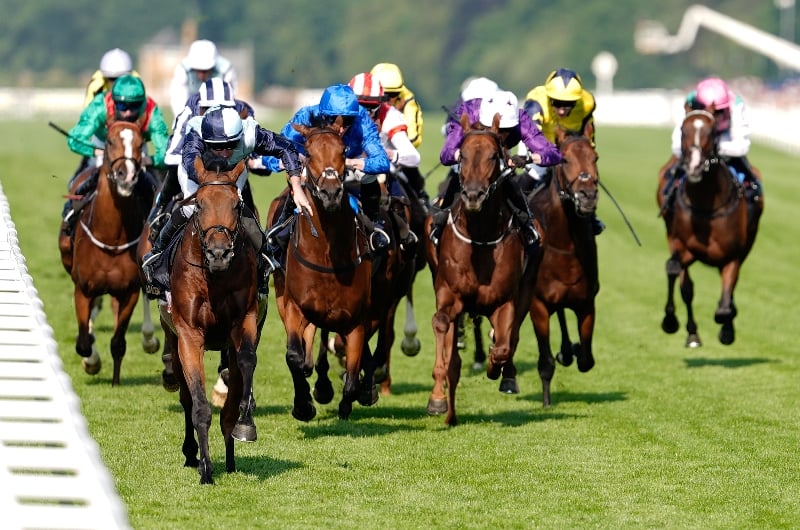 ascot