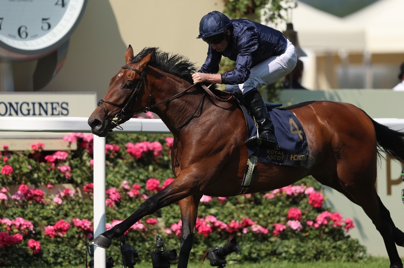 ascot